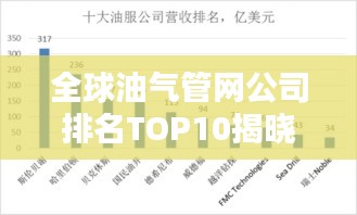 全球油气管网公司排名TOP10揭晓！