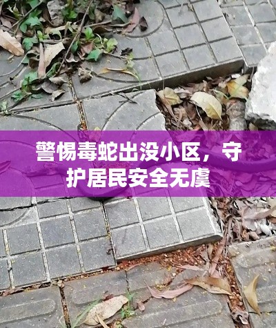 警惕毒蛇出没小区，守护居民安全无虞