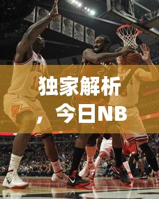 独家解析，今日NBA老鹰对决公牛，赛事前瞻与最新消息速递