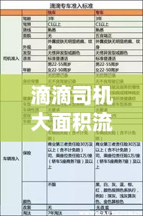 滴滴司机大面积流失现象深度解析