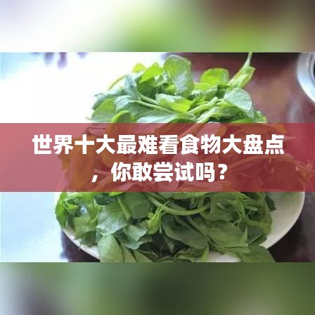 世界十大最难看食物大盘点，你敢尝试吗？