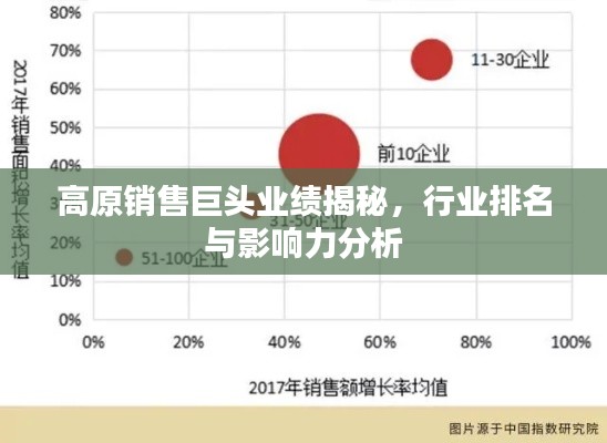 高原销售巨头业绩揭秘，行业排名与影响力分析