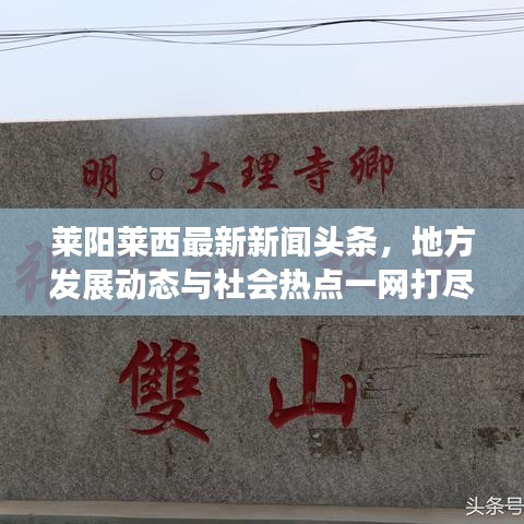 莱阳莱西最新新闻头条，地方发展动态与社会热点一网打尽