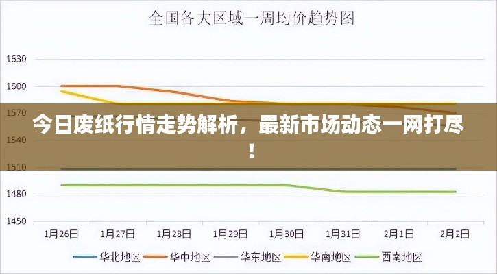 今日废纸行情走势解析，最新市场动态一网打尽！