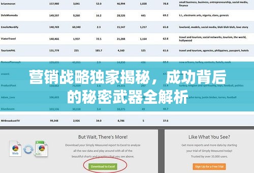 营销战略独家揭秘，成功背后的秘密武器全解析