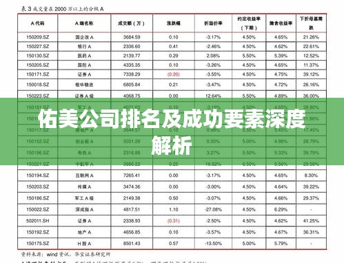 佑美公司排名及成功要素深度解析