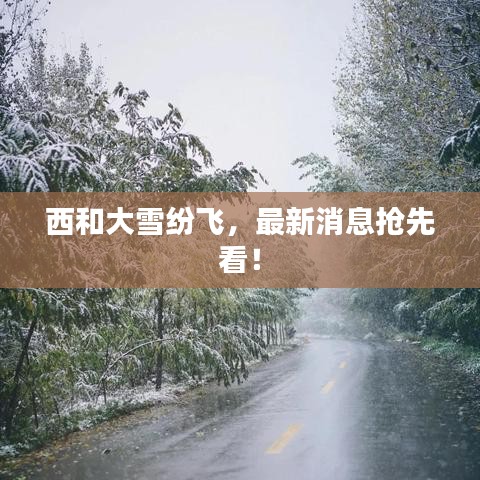 西和大雪纷飞，最新消息抢先看！