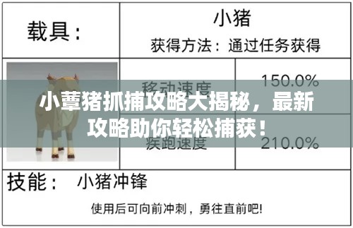 小蕈猪抓捕攻略大揭秘，最新攻略助你轻松捕获！