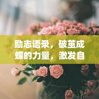 励志语录，破茧成蝶的力量，激发自我改变的无限潜能