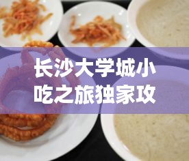 长沙大学城小吃之旅独家攻略，带你领略美食盛宴！