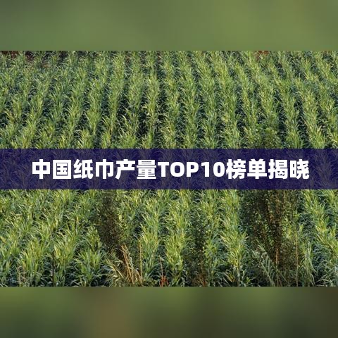 中国纸巾产量TOP10榜单揭晓