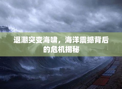 退潮突变海啸，海洋震撼背后的危机揭秘