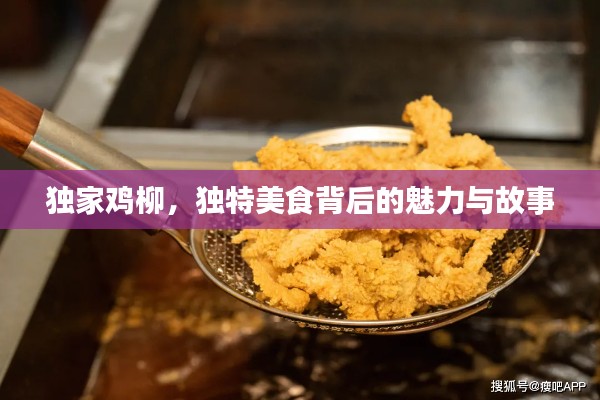 独家鸡柳，独特美食背后的魅力与故事