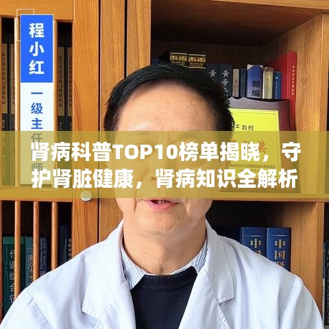 肾病科普TOP10榜单揭晓，守护肾脏健康，肾病知识全解析