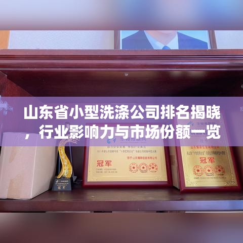 山东省小型洗涤公司排名揭晓，行业影响力与市场份额一览