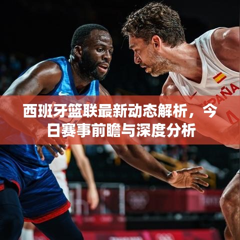 西班牙篮联最新动态解析，今日赛事前瞻与深度分析