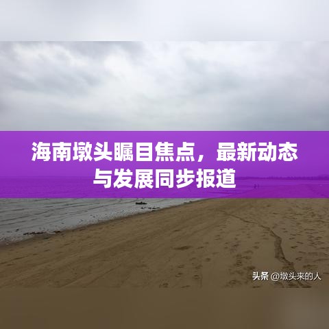 海南墩头瞩目焦点，最新动态与发展同步报道