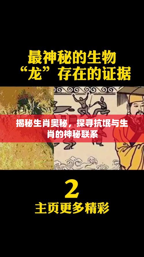 揭秘生肖奥秘，探寻抗氓与生肖的神秘联系