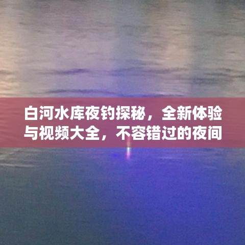 白河水库夜钓探秘，全新体验与视频大全，不容错过的夜间垂钓之旅