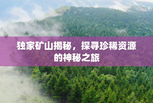 独家矿山揭秘，探寻珍稀资源的神秘之旅