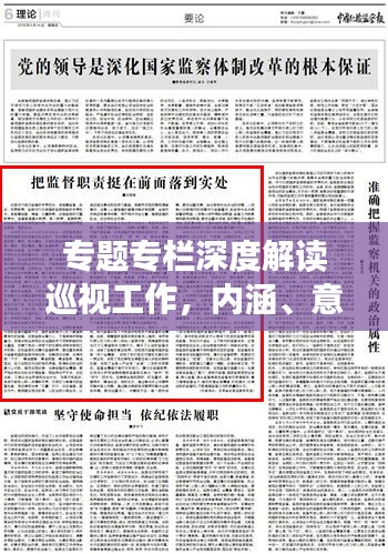 专题专栏深度解读巡视工作，内涵、意义与实践