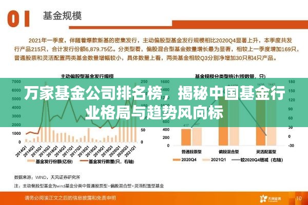 万家基金公司排名榜，揭秘中国基金行业格局与趋势风向标