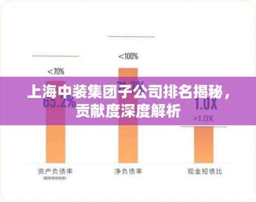 上海中装集团子公司排名揭秘，贡献度深度解析