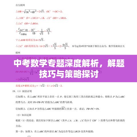 中考数学专题深度解析，解题技巧与策略探讨