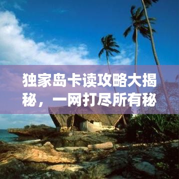 独家岛卡读攻略大揭秘，一网打尽所有秘密！