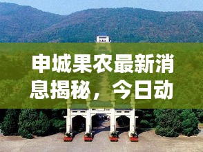 申城果农最新消息揭秘，今日动态一网打尽