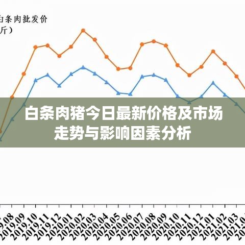 白条肉猪今日最新价格及市场走势与影响因素分析