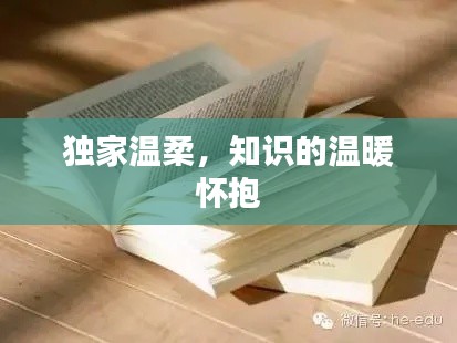 独家温柔，知识的温暖怀抱