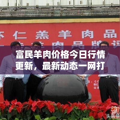 富民羊肉价格今日行情更新，最新动态一网打尽！