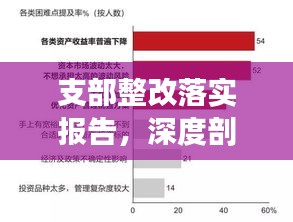 支部整改落实报告，深度剖析问题，精准施策见成效