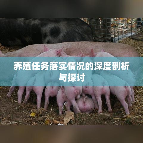 养殖任务落实情况的深度剖析与探讨