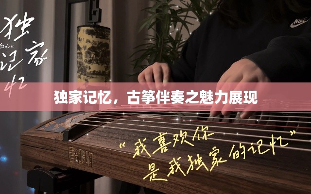 独家记忆，古筝伴奏之魅力展现