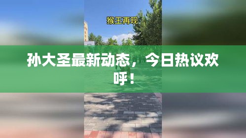 孙大圣最新动态，今日热议欢呼！
