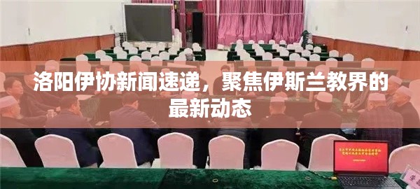 洛阳伊协新闻速递，聚焦伊斯兰教界的最新动态