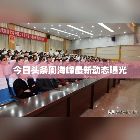 今日头条周海峰最新动态曝光
